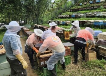 新北平溪紫東社區紅淡蜜　榮獲國際風味評鑑所二星獎章肯定