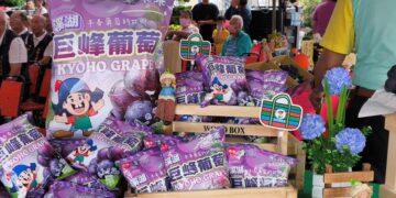 溪湖鎮農會「萄你歡心·蔥滿幸福」農特產推廣 葡萄米乖乖正式上市