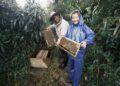 世界蜜蜂日新北發光！26歲青農闕莉恩放棄穩定工作 返鄉打造平溪「三耕早」珍稀野蜜