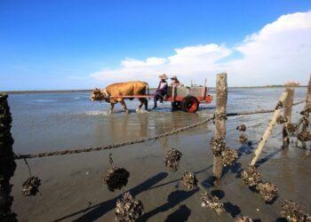 海牛文化重要推手辭世 彰化縣「海牛文化」保存者魏清水今獲褒揚