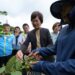 豪雨重創彰化芭樂產區 陳素月呼籲農業部速將彰化芭樂納入災害救助