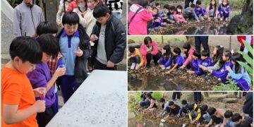 影音/再次野放螢火蟲幼蟲 期待五結夜晚更加亮晶晶