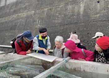見證小生命的茁壯！東北角九孔培育進入高峰 新北復育園區邀您探訪海洋祕境