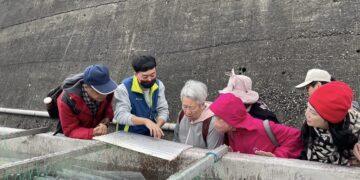 見證小生命的茁壯！東北角九孔培育進入高峰 新北復育園區邀您探訪海洋祕境