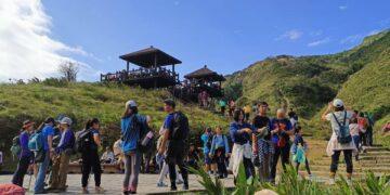 「2025草嶺古道芒花季」活動落幕 逾10萬人次賞芒