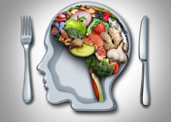 護腦食物加餐盤， 大腦凍齡7年半！