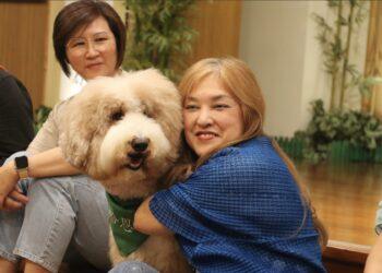 提升長者記憶與社會互動能 新北積極導入動物輔助治療多元創新非藥物介入