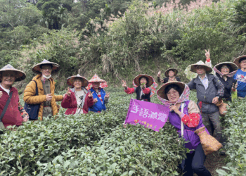 新北坪林茶博館推「手語導覽一日遊」 帶領聾人朋友體驗茶園採製