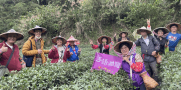 新北坪林茶博館推「手語導覽一日遊」 帶領聾人朋友體驗茶園採製