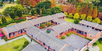 成美文化園春節八天活動不間斷 街頭藝人精彩表演 舞獅賀歲熱鬧開場