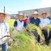宜蘭酒米豐收啟航-臺日攜手打造智慧酒米供應鏈