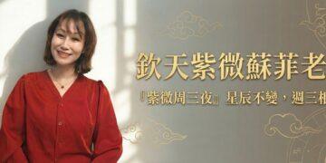 紫微入門怎麼選？解析「來因宮」邏輯魅力：蘇菲老師助您告別死背、輕鬆解盤