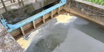 影音/壯圍鄉圳溝遭偷排放 農民憂灌溉水遭汙染