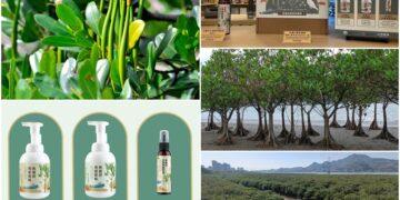 林業保育署宜蘭分署推動水筆仔循環經濟　研製安心綠色生活用品