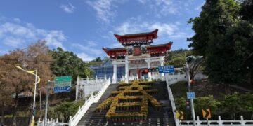 忠烈祠春風送暖迎新歲 10米寬黃雛菊「春」字綻放