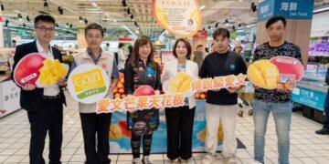 影音/屏東愛文芒果上市 周春米攜手家樂福推廣夏季水果