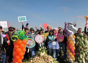 影音/台電 80 員眷拔蘿蔔好采頭挺青農 實踐了「一度電點亮無限」精神