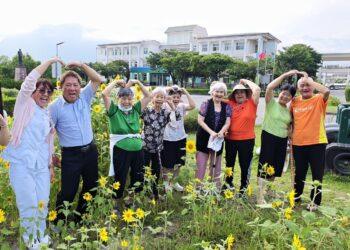 榮家出現向日葵花海 長輩與幼兒同歡共賞      
