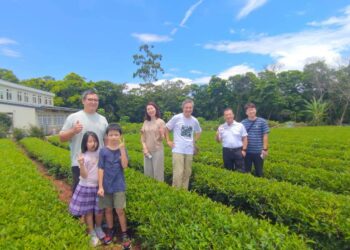 「貓裏紅」吸引國際目光！苗栗縣府推「豐味苗栗」整合農產 媒合英國高端百貨通路