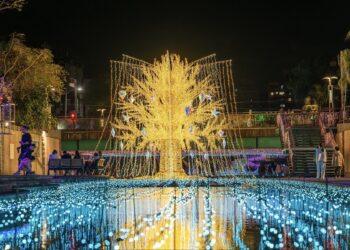 2026 中港大排光雕展來了！4 大主題燈區連閃 24 天 白色情人節闖關送限量好禮