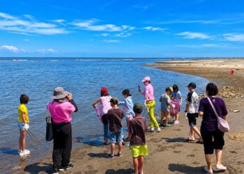 暑假遛娃秘境！台中大安濱海樂園推「生態導覽×豪華露營」 尋找小燕鷗蹤跡