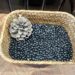 影音/兄弟回鄉斜槓人生 開創「島匠醬油」品牌