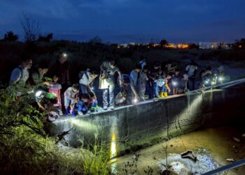 親近潮間帶生命力！走進國家級高美濕地 日夜間導覽帶民眾守護生態