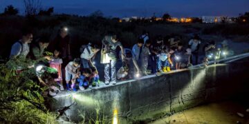 親近潮間帶生命力！走進國家級高美濕地 日夜間導覽帶民眾守護生態