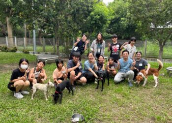化身小小訓犬師送養毛孩！台中動保處辦療癒犬夏令營 陪伴收容犬找尋溫暖新家