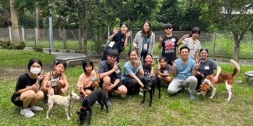 化身小小訓犬師送養毛孩！台中動保處辦療癒犬夏令營 陪伴收容犬找尋溫暖新家